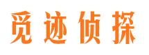 龙沙侦探公司